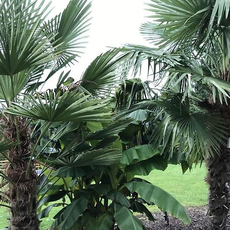 Ferienwohnung Palmengarten Lichtenstein  外观 照片
