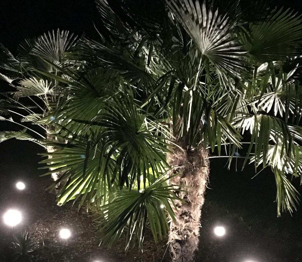 Ferienwohnung Palmengarten Lichtenstein  外观 照片
