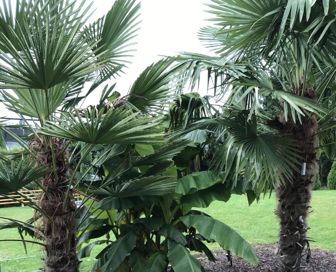 Ferienwohnung Palmengarten Lichtenstein  外观 照片