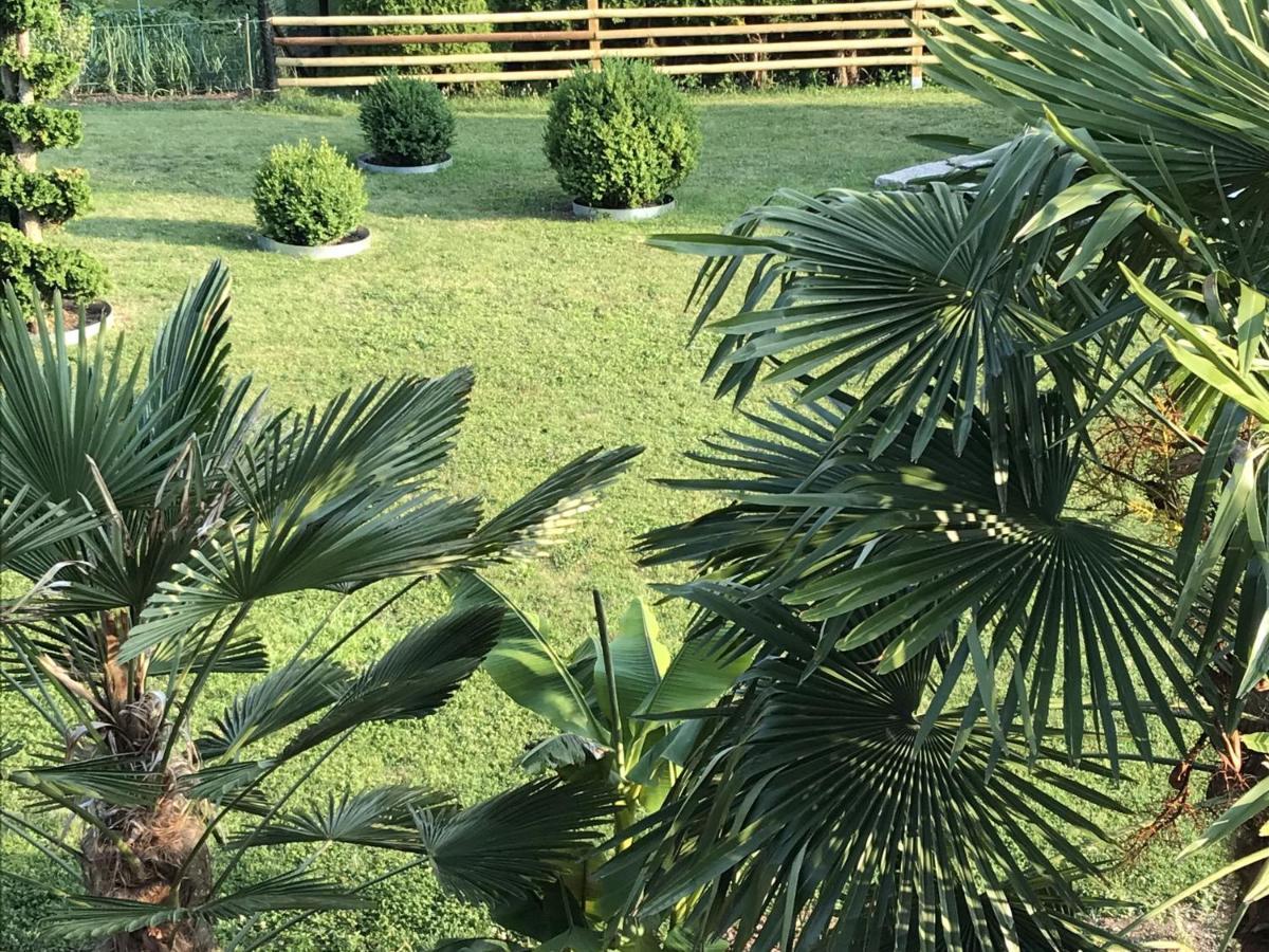 Ferienwohnung Palmengarten Lichtenstein  外观 照片