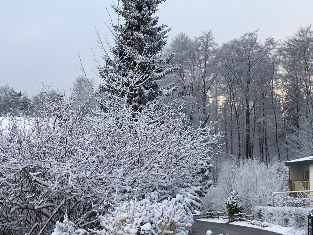 Ferienwohnung Palmengarten Lichtenstein  外观 照片