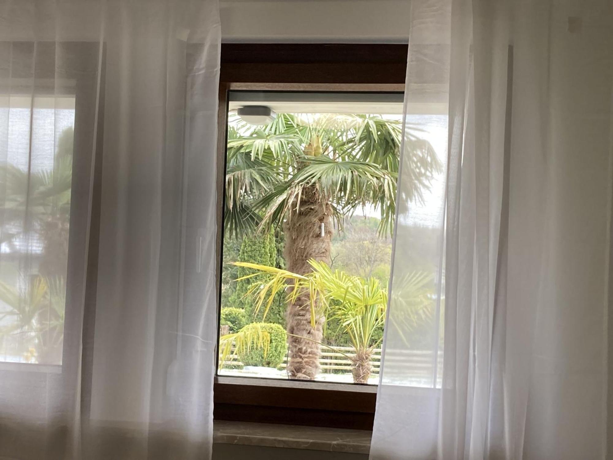 Ferienwohnung Palmengarten Lichtenstein  外观 照片